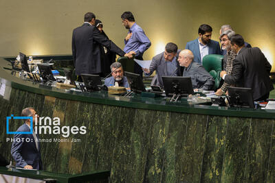 رئیس هیأت نظارت بر انتخابات شوراها در جلسه غیرعلنی مجلس به نمایندگان گزارش داد