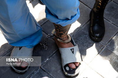  برخورد قاطع پلیس با اراذل و اوباش و حاملان سلاح سرد در غرب استان تهران