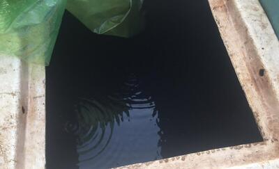  کشف ۱۱۸ هزار لیتر گازوئیل و ۲ تن آرد خارج از شبکه در قزوین