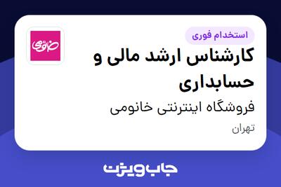  استخدام کارشناس ارشد مالی و حسابداری در فروشگاه اینترنتی خانومی