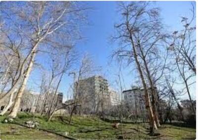  عضو شورای شهر همدان از نابودی ۲۰۰ هزار مترمربع از باغات منطقه یک خبر داد