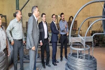  دادستان بروجرد از واحدهای تولیدی این شهرستان بازدید کرد