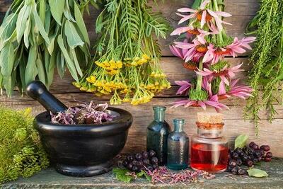  عطر درمان از دل کویر؛ سیستان و بلوچستان سرزمین گیاهان شفابخش