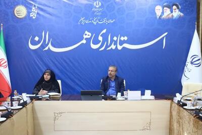  امرایی: باید ذهن جامعه را از باورهای غلط جمعیتی پاک کرد