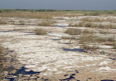 هور دیگر عظیم نیست! - روزنامه رسالت