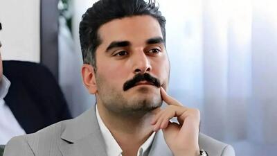 شکایت علی احمدنیا از نماینده تهران؛ فیش حقوقی دردسر آفرید