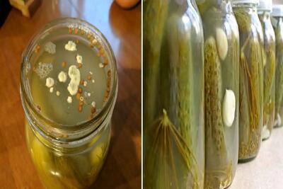  چیکار کنیم خیارشور کپک نزنه؟/  رازهایی که هیچکس نمیگه تا واسه مدت ها خیارشو خراب نشه