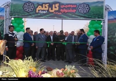  ظرفیت صادراتی و ارزش غذایی گل‌کلم کهریزک باید بیش از پیش معرفی شود - تسنیم