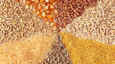  توزیع ۶۱ هزار تن نهاده دامی در آذربایجان شرقی