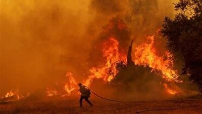  آتشِ سحرگاهی، قبل از خورشید؛ جنگل‌های «زرانگوش» را روزِ روشن کرد