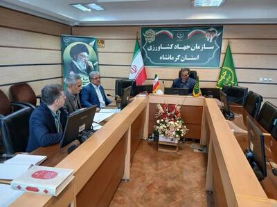  برنامه‌ریزی برای تأمین میوه شب عید و خرمای رمضان در کرمانشاه