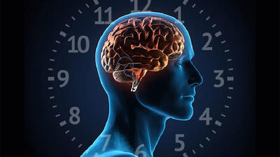  ساعت درونی و سلامت بدن؛ با این ۵ راهکار ریتم طبیعی بدنتان را تنظیم کنید