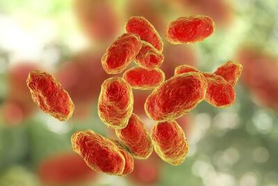  یک بیماری مرگبار وجود دارد که به‌لطف واکسن‌ها احتمالاً تاکنون نامش را نشنیده‌اید