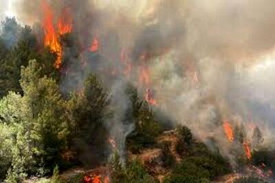  آتش‌سوزی گسترده در جنگل‌های ایلام