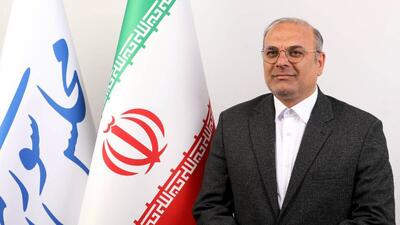  لک علی‌آبادی: حذف دهک‌های یارانه بگیر باید با دقت و وسواس انجام شود