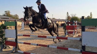  رقابت های سوارکاری پرش اسب در قزوین آغاز شد