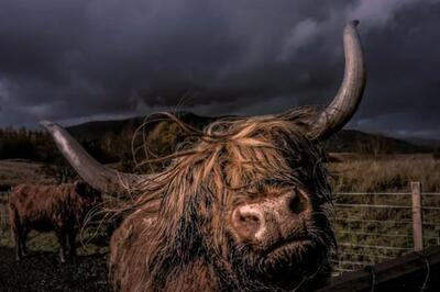  خوشبینی به رغم تداوم ریسک ها