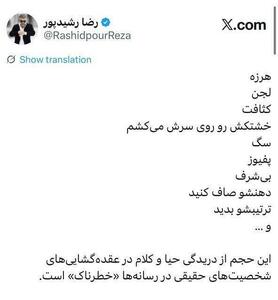  عکس/ واکنش تند رشیدپور به هتاکی شهبازی | اقتصاد24