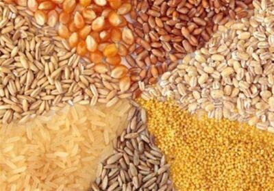  ضوابط جدید واردات نهاده‌های دامی اعلام شد
