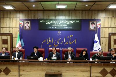  از پیشنها ارتقاء سطح امنیتی استان ایلام تا تاکید بر توسعه دیپلماسی مرزی