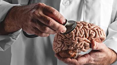  آیا بازگشت به زندگی پس از مرگ مغزی امکان‌پذیر است؟