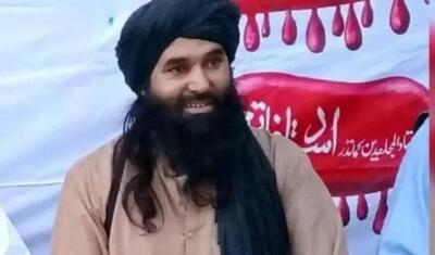  یک سرکرده ارشد طالبان پاکستان کشته شد