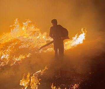  آتش‌سوزی در جنگل‌های بدره ایلام