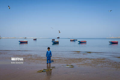  راه‌اندازی نرم‌افزار«وارمی»؛ گامی نو در مدیریت ورود گردشگران به جزیره هرمز