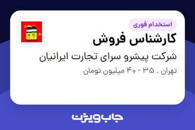 استخدام کارشناس فروش - خانم در شرکت پیشرو سرای تجارت ایرانیان
