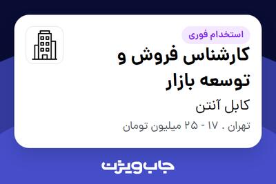  استخدام کارشناس فروش و توسعه بازار در کابل آنتن