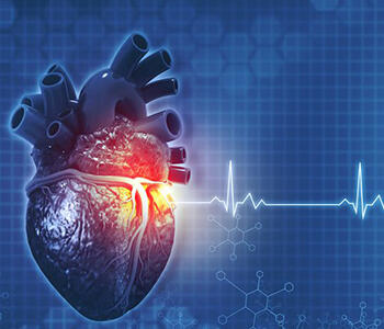  قلب تپنده کوهستانی + فیلم