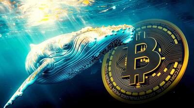  نهنگ عصر ساتوشی ۲۹۰ میلیون دلار بیت‌کوین را جابه‌جا کرد؛ نشانه‌ اصلاح قیمت؟