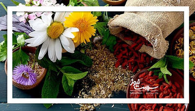  گیاهان دارویی، دشمن طبیعی چربی خون بالا
