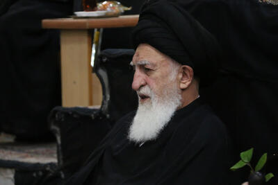  آیت الله علوی بروجردی: علمی که توأم با تکبر باشد، پله‌ای برای سقوط انسان به سوی آتش می‌شود/ دیگران را برای حفظ خود نابود نکنیم