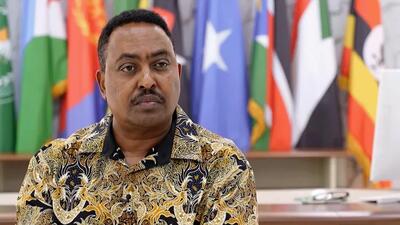  هشدار سازمان همکاری و توسعه آفریقا: سودان در آستانه فروپاشی و تجزیه است