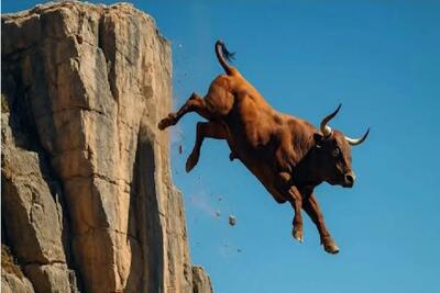  مستند حیات وحش؛ حیواناتی که به جاذبه ایمان ندارند تقاصش را می دهند!