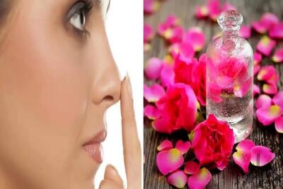  کوچک کردن بینی با گلاب؛ تنها در یک هفته کوفته ترین دماغ فندقی و ریزه میشه