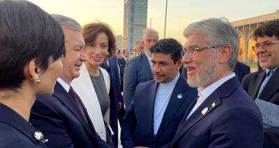  دیدار وزیر علوم با رئیس جمهوری ازبکستان + فیلم