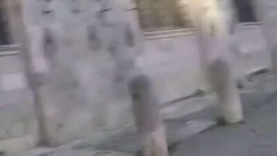  سرقت نمادین از موزه ای در ایتالیا در شبکه های اجتماعی وایرال شد