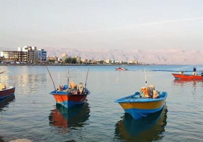  افزایش 22 درصدی صید در دریای مازندران از پانزدهم تا سی‌ام مهرماه - تسنیم