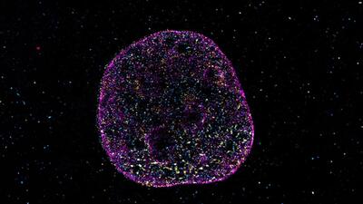  کشف «کد هندسی» پنهان در DNA؛ راز حافظه و عملکرد سلول‌ها فاش شد