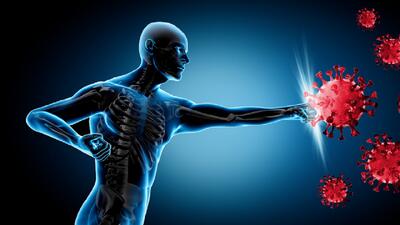  کشف عاملی که ممکن است سیستم ایمنی را مختل کند