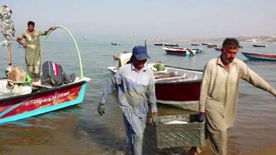  صیادان چابهار روزانه تا ۱۰ تُن ماهی تازه به بازار عرضه می‌کنند