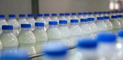  ردپای «لبنیات» در افزایش بار بیماری استخوان شکن!