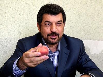  شهریاری: به خاطر کلمه «هلو»، من را ممنوع‌التصویر کردند