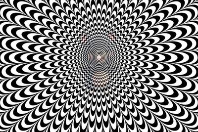  بازی فکری؛ بینایی سوپرمنی با دید ۲۰/۲۰ داری؟ حیوان پنهان تو شکل هندسی را پیدا کن.