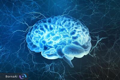  جوان‌سازی مغز با اپلیکیشن در ۱۰ هفته