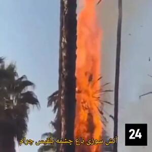  آتش سوزی مهیب در باغ تاریخی چشمه‌بلقیس چرام + فیلم