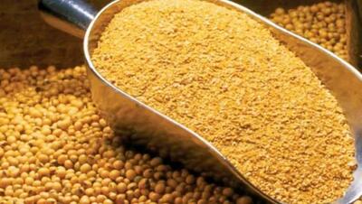  ورود قوه قضائیه به فرآیند توزیع و فروش نهاده‌های دامی