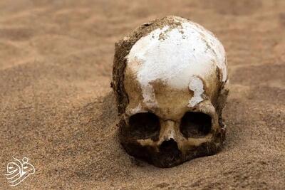  عکس| کشف جمجمه یک میلیون ساله با ویژگی‌های انسان مدرن در چین